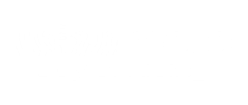Reisemoto